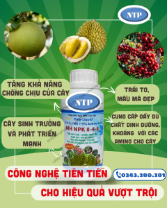 Phân bón NPK 8-4-8/ Poly-Liquid (8-4-8+ME+5% Amino Acid) dùng cho giai đoạn sầu riêng sau xổ nhụy 10-35 ngày  500ml MH