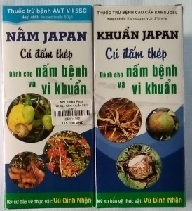 Cặp Nâm Khuẩn CĐT